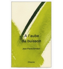 aube_du_buisson